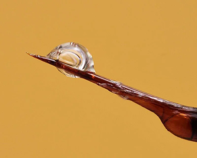 Bee Venom