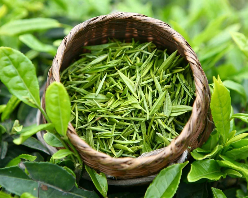 Green Tea